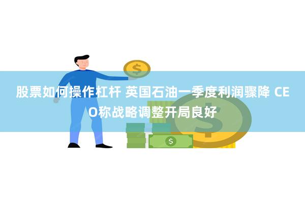 股票如何操作杠杆 英国石油一季度利润骤降 CEO称战略调整开局良好