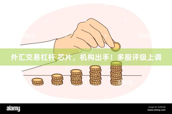 外汇交易杠杆 芯片，机构出手！多股评级上调