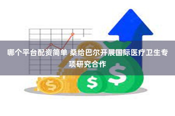 哪个平台配资简单 桑给巴尔开展国际医疗卫生专项研究合作