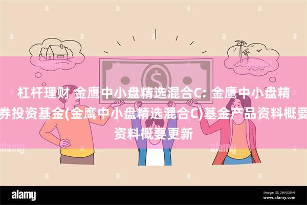 杠杆理财 金鹰中小盘精选混合C: 金鹰中小盘精选证券投资基金(金鹰中小盘精选混合C)基金产品资料概要更新
