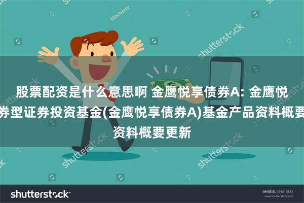 股票配资是什么意思啊 金鹰悦享债券A: 金鹰悦享债券型证券投资基金(金鹰悦享债券A)基金产品资料概要更新