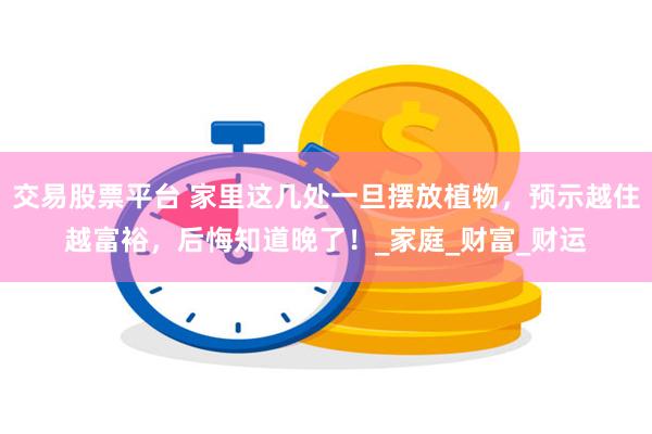 交易股票平台 家里这几处一旦摆放植物，预示越住越富裕，后悔知道晚了！_家庭_财富_财运