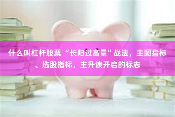 什么叫杠杆股票 “长阳过高量”战法，主图指标、选股指标，主升浪开启的标志