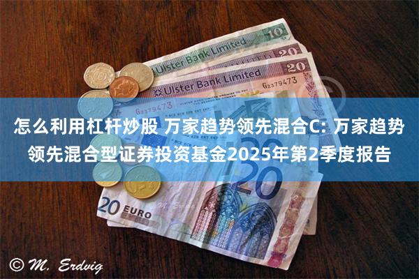 怎么利用杠杆炒股 万家趋势领先混合C: 万家趋势领先混合型证券投资基金2025年第2季度报告