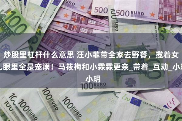 炒股里杠杆什么意思 汪小菲带全家去野餐，揽着女儿眼里全是宠溺！马筱梅和小霖霖更亲_带着_互动_小玥